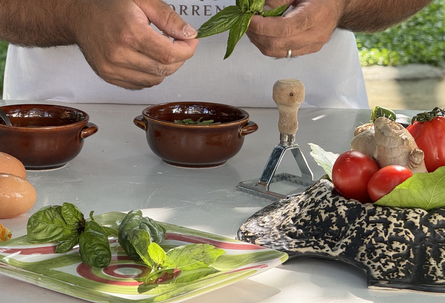 Cooking Class in the lemon grove  + combo lemon tour with tasting