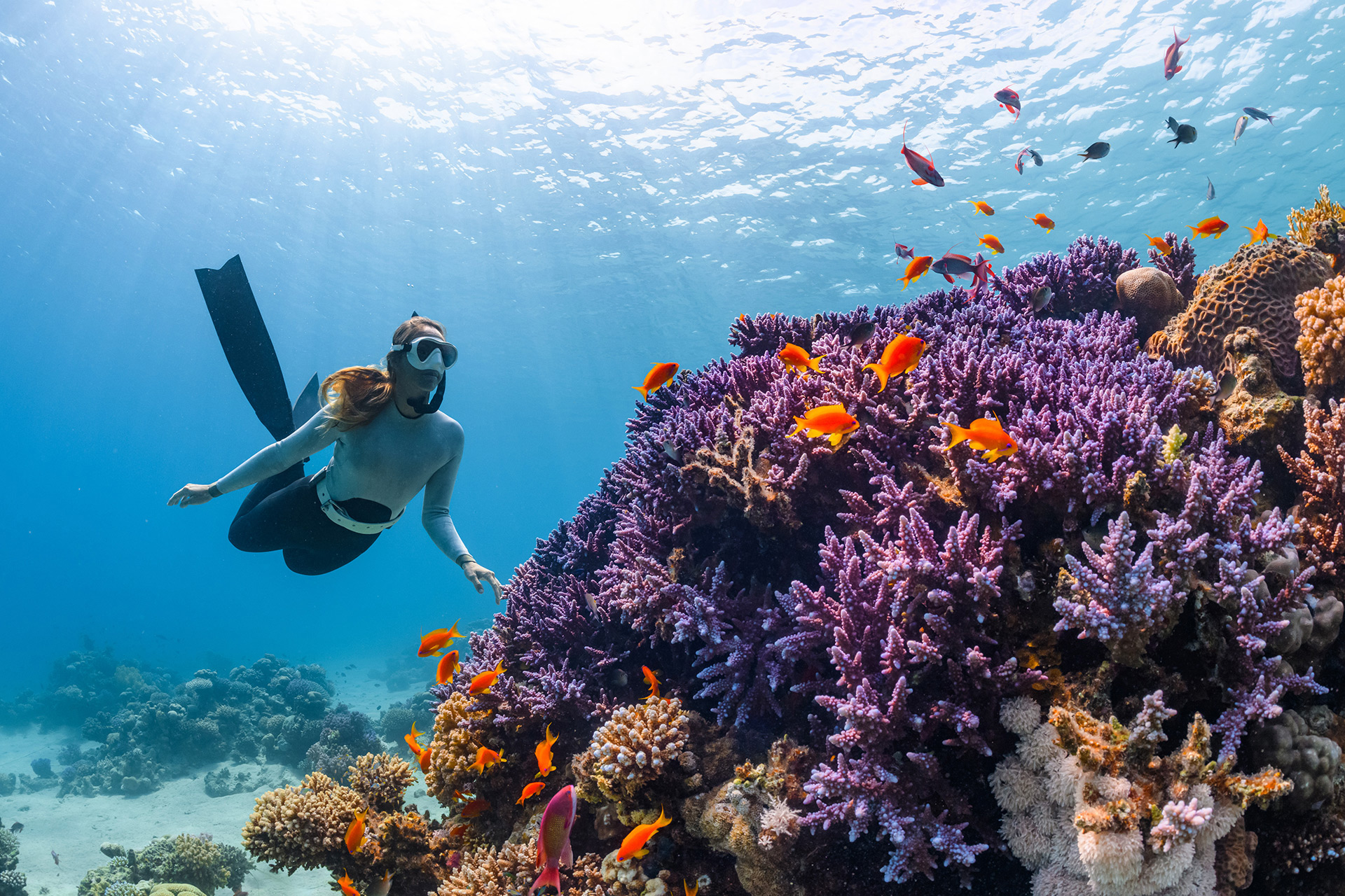 Discover Scuba Diving